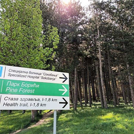 Apartman Rubi Sokobanja Exteriér fotografie