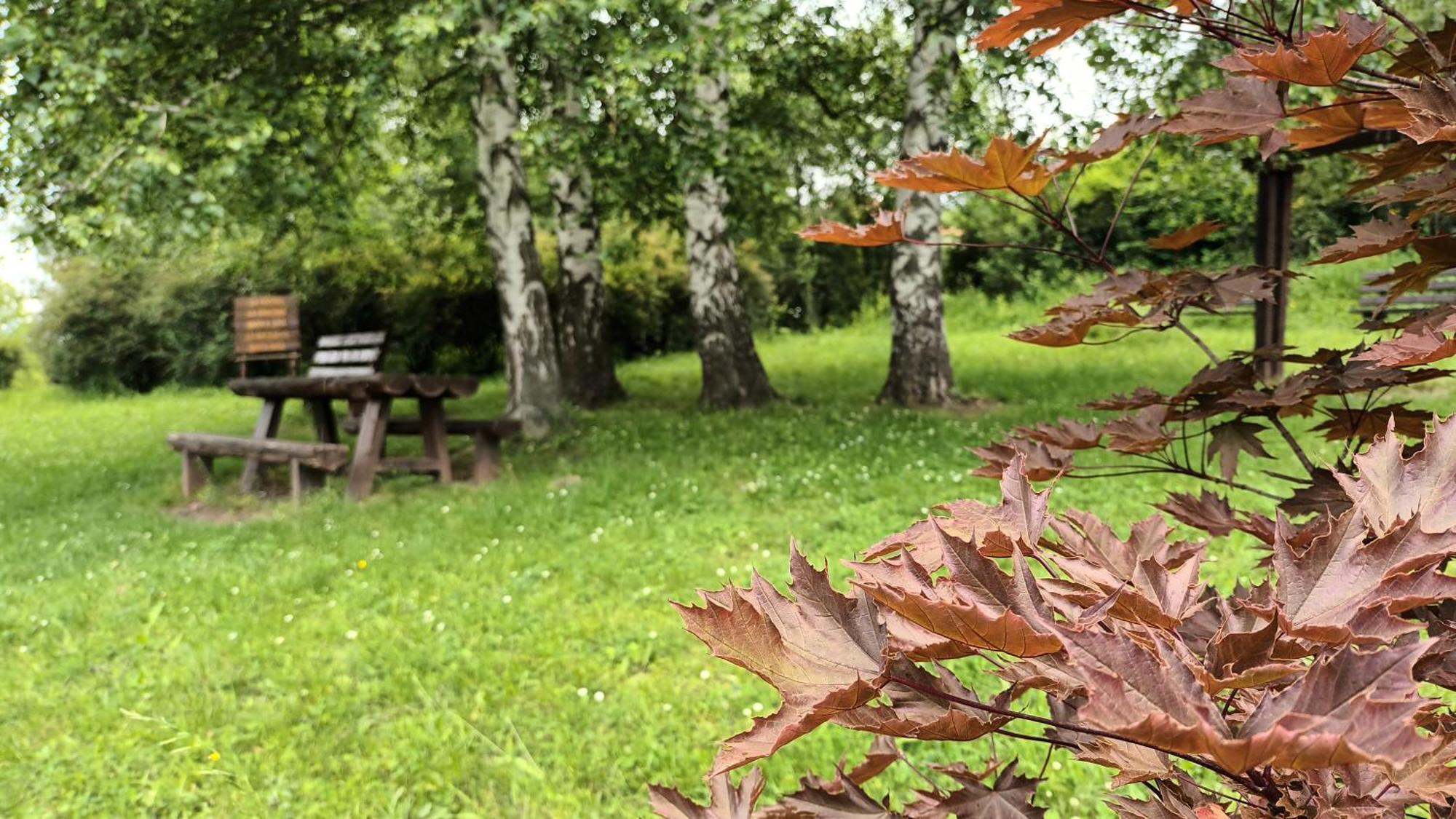 Apartman Rubi Sokobanja Exteriér fotografie